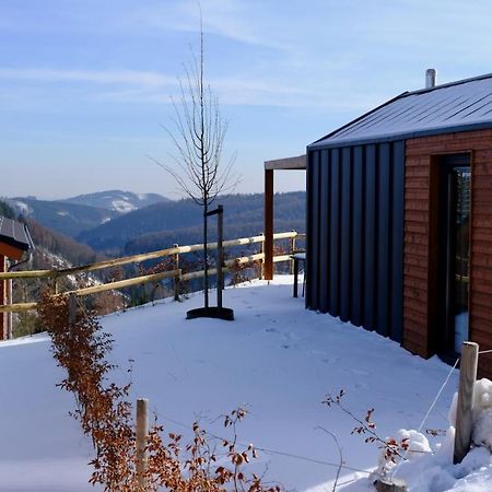 Uplandparcs Winterberg Villa Luaran gambar