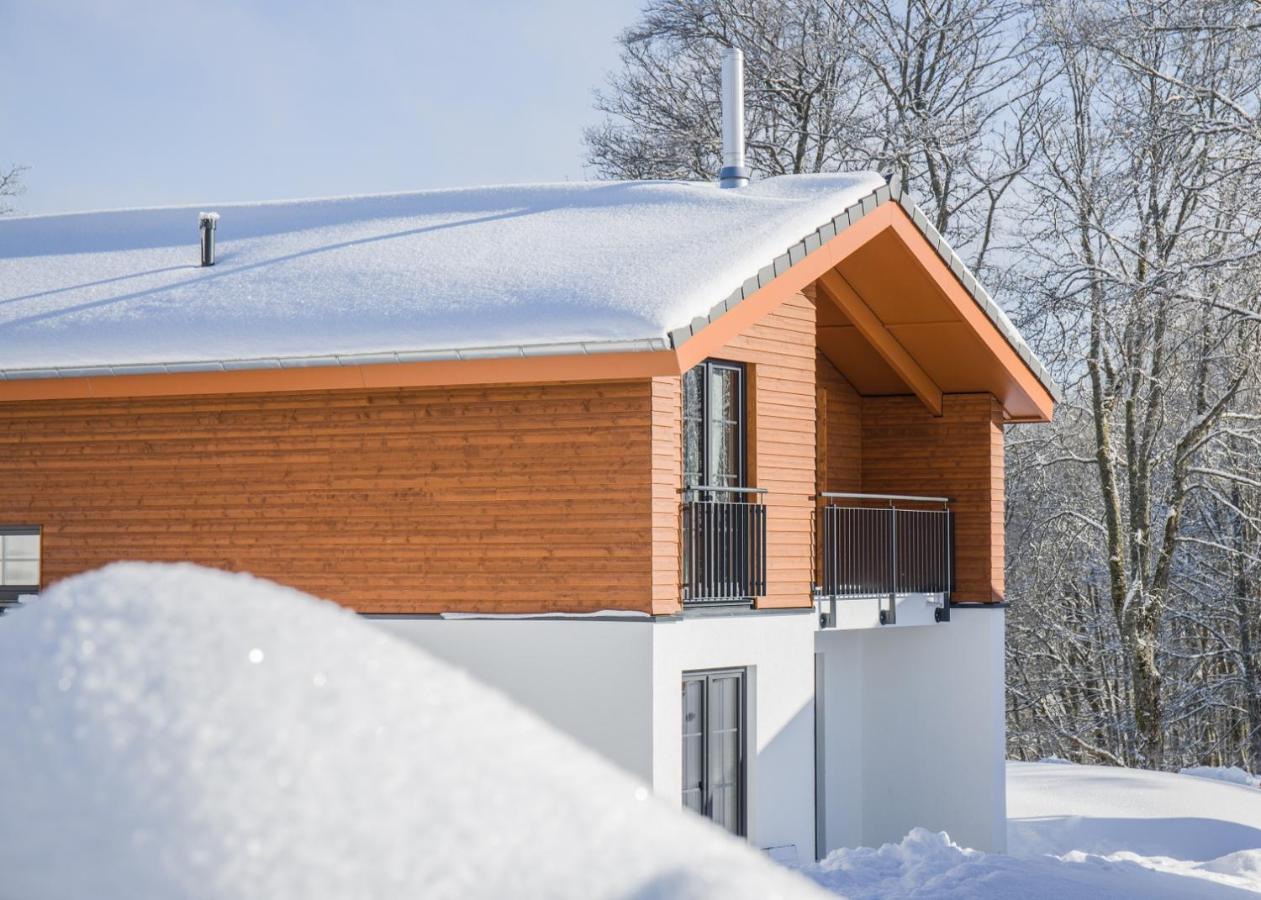 Uplandparcs Winterberg Villa Luaran gambar
