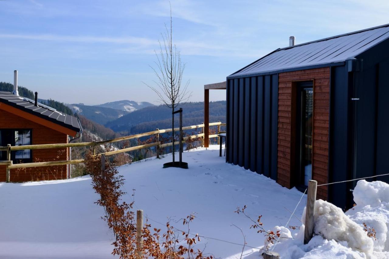 Uplandparcs Winterberg Villa Luaran gambar
